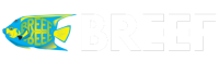 BREEF-LOGO-BLACK
